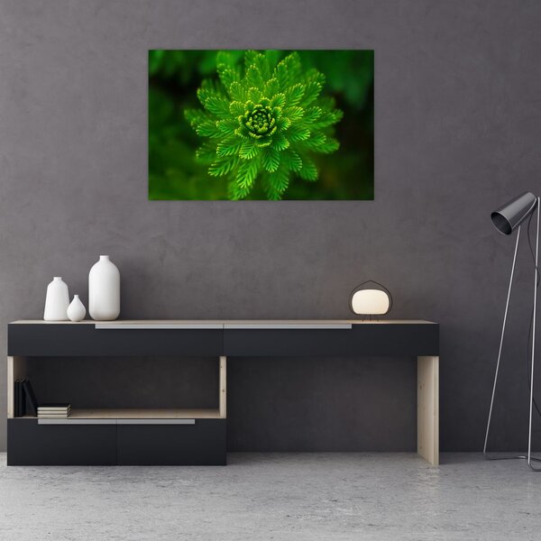 Tablou cu coniferi (90x60 cm)
