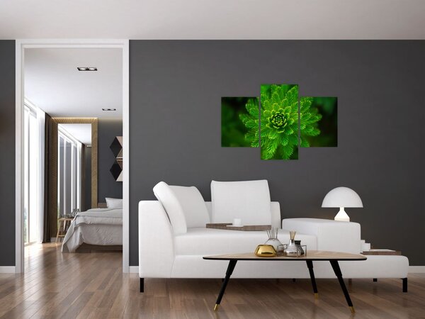 Tablou cu coniferi (90x60 cm)
