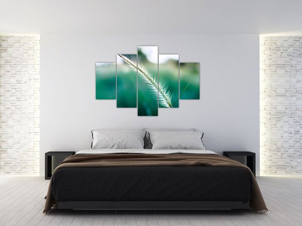 Tablou cu fir de iarbă (150x105 cm)
