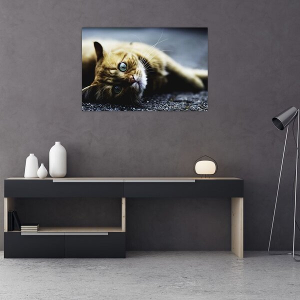 Tablou cu pisica (90x60 cm)