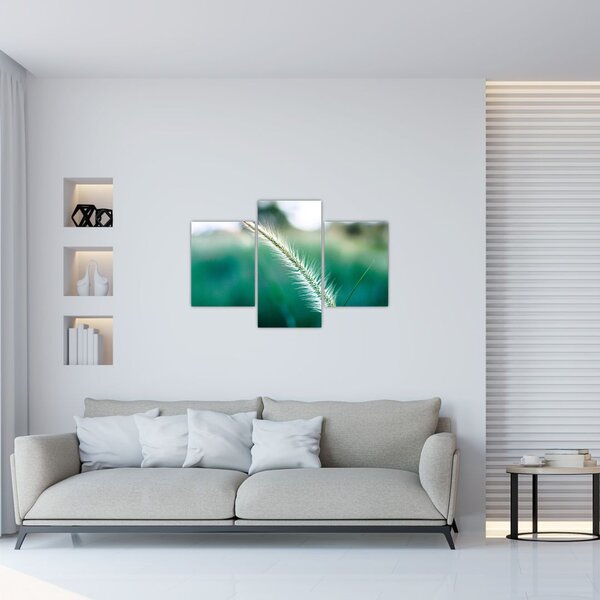 Tablou cu fir de iarbă (90x60 cm)