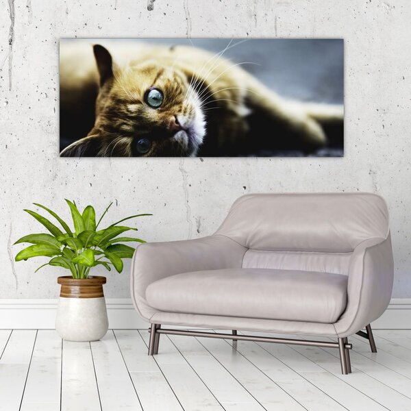 Tablou cu pisica (120x50 cm)