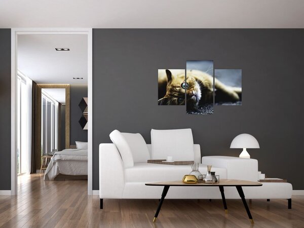 Tablou cu pisica (90x60 cm)