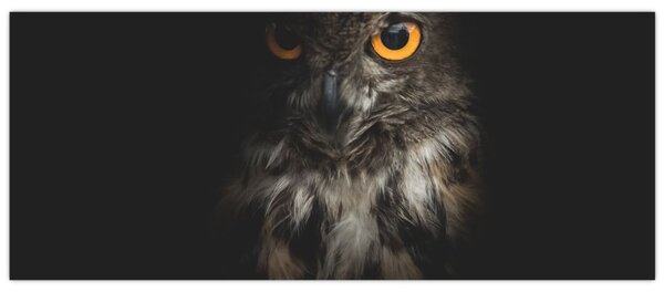 Tablou cu bufnița (120x50 cm)