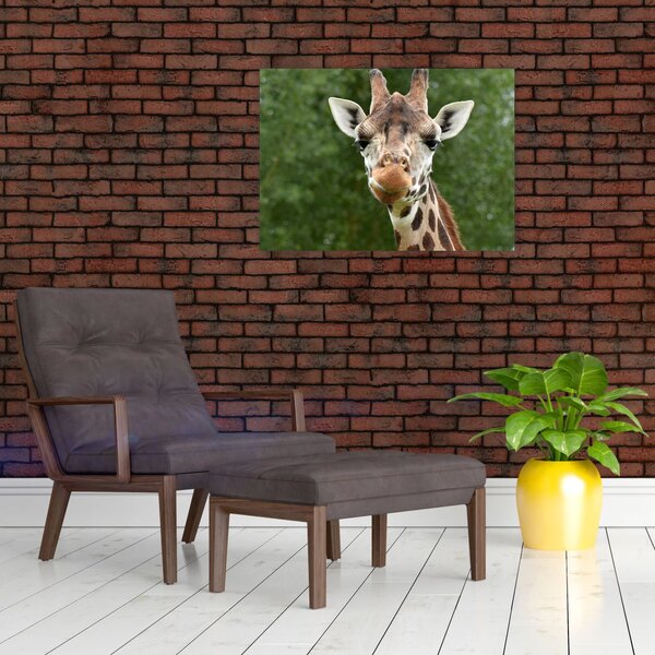 Tablou cu girafa (70x50 cm)