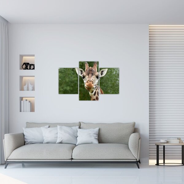 Tablou cu girafa (90x60 cm)