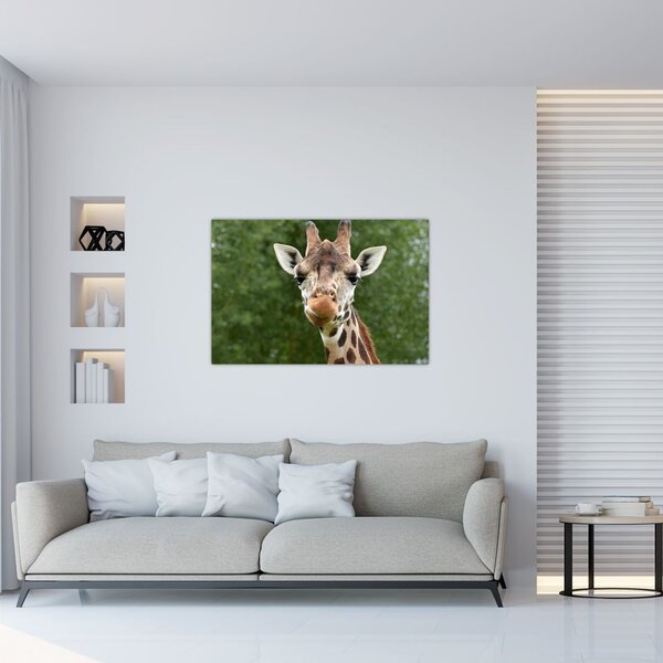 Tablou cu girafa (90x60 cm)