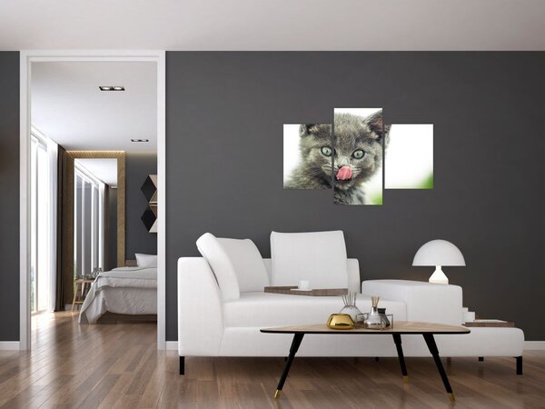 Tablou cu pisicuța lingându-se (90x60 cm)