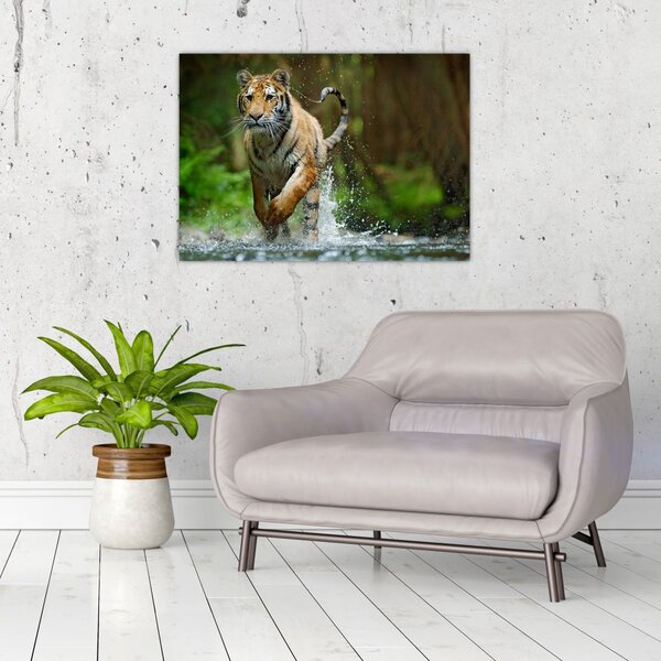 Tablou cu trigrul fugind (70x50 cm)