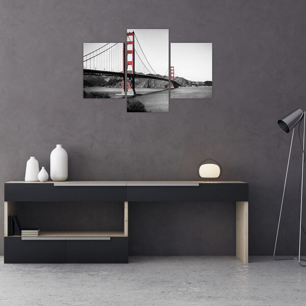 Tablou cu pod (90x60 cm)
