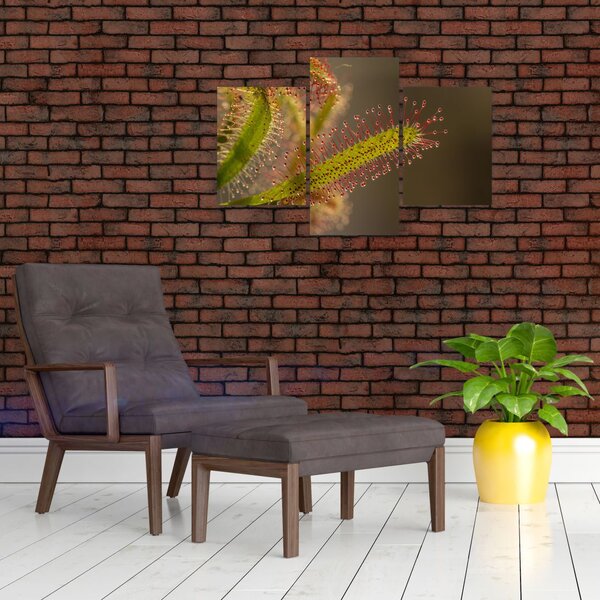 Tablou cu plantă (90x60 cm)