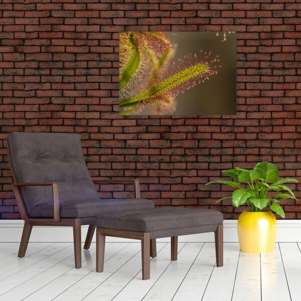 Tablou cu plantă (70x50 cm)