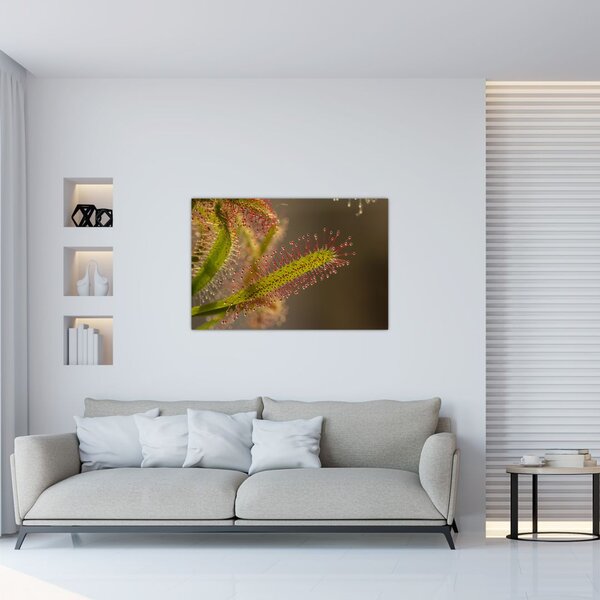 Tablou cu plantă (90x60 cm)