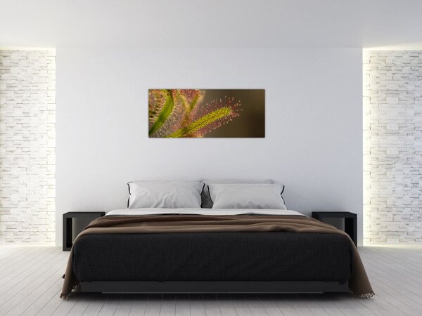 Tablou cu plantă (120x50 cm)