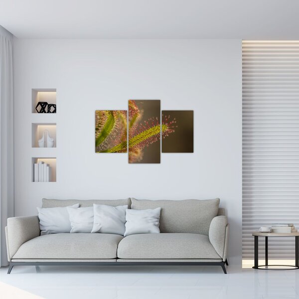 Tablou cu plantă (90x60 cm)
