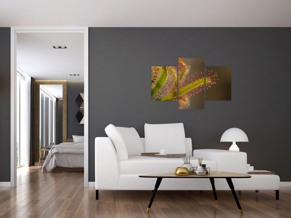 Tablou cu plantă (90x60 cm)