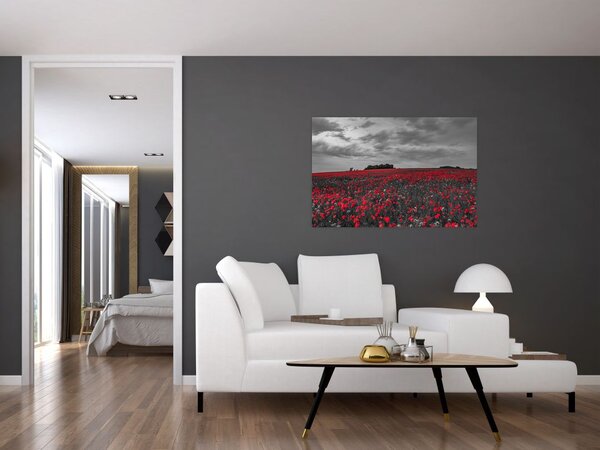 Tablou cu maci (90x60 cm)