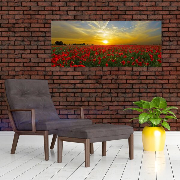 Tablou cu câmp cu maci (120x50 cm)