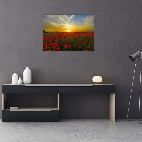 Tablou cu câmp cu maci (70x50 cm)
