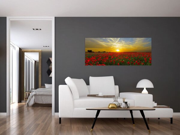 Tablou cu câmp cu maci (120x50 cm)