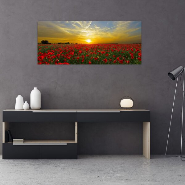 Tablou cu câmp cu maci (120x50 cm)