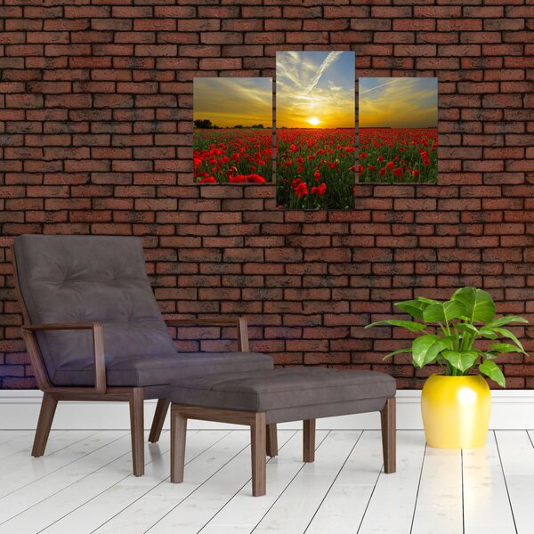 Tablou cu câmp cu maci (90x60 cm)