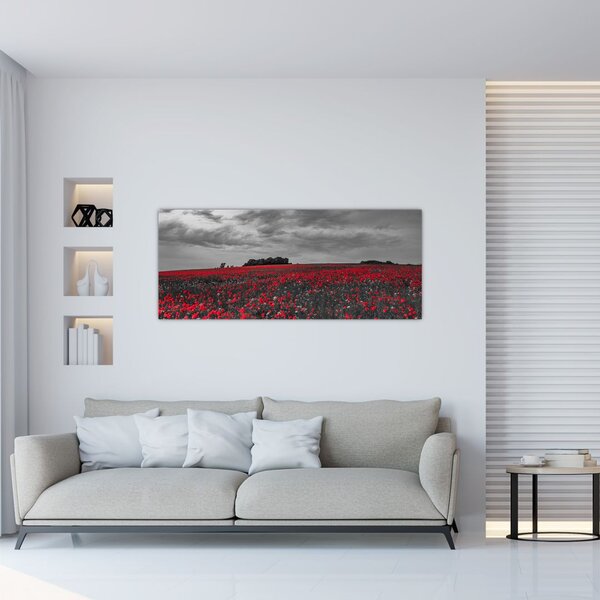 Tablou cu maci (120x50 cm)