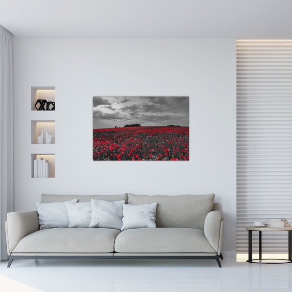 Tablou cu maci (90x60 cm)