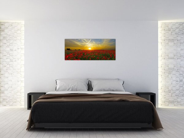 Tablou cu câmp cu maci (120x50 cm)
