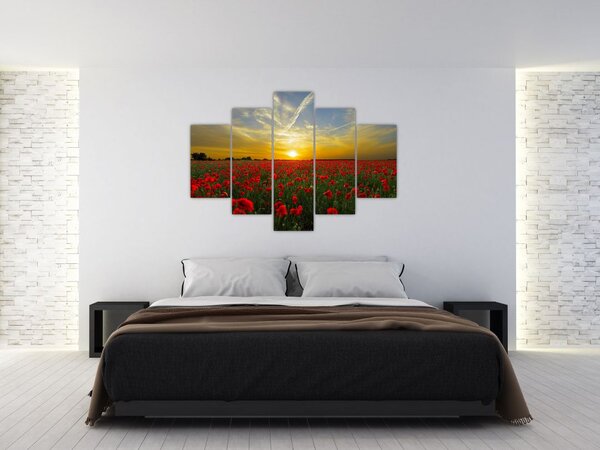 Tablou cu câmp cu maci (150x105 cm)