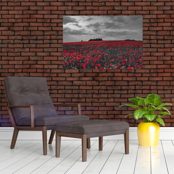 Tablou cu maci (90x60 cm)