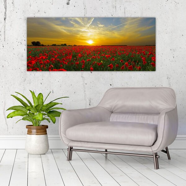 Tablou cu câmp cu maci (120x50 cm)