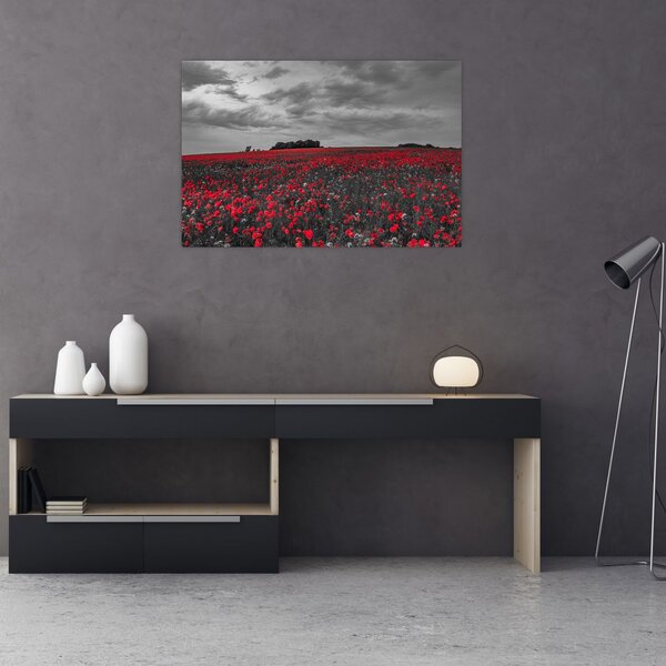 Tablou cu maci (90x60 cm)