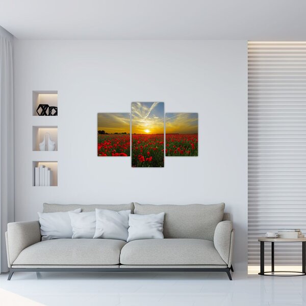 Tablou cu câmp cu maci (90x60 cm)