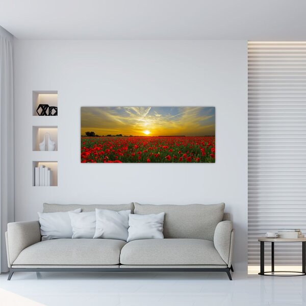 Tablou cu câmp cu maci (120x50 cm)