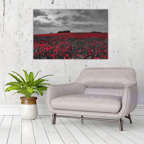 Tablou cu maci (90x60 cm)