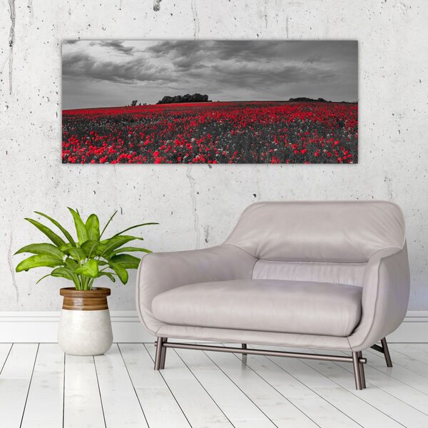 Tablou cu maci (120x50 cm)