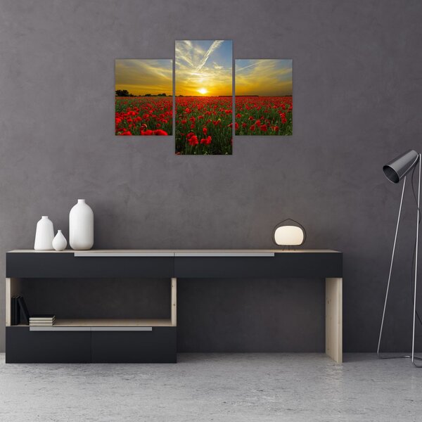 Tablou cu câmp cu maci (90x60 cm)