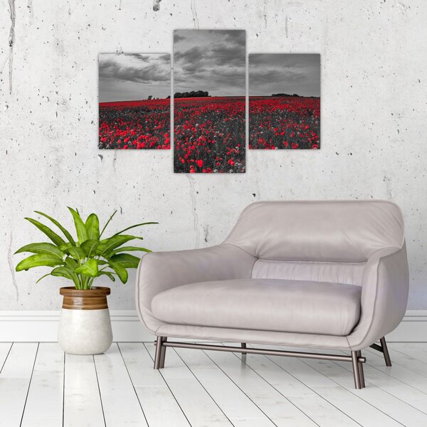 Tablou cu maci (90x60 cm)
