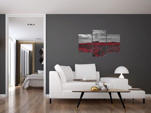 Tablou cu maci (90x60 cm)