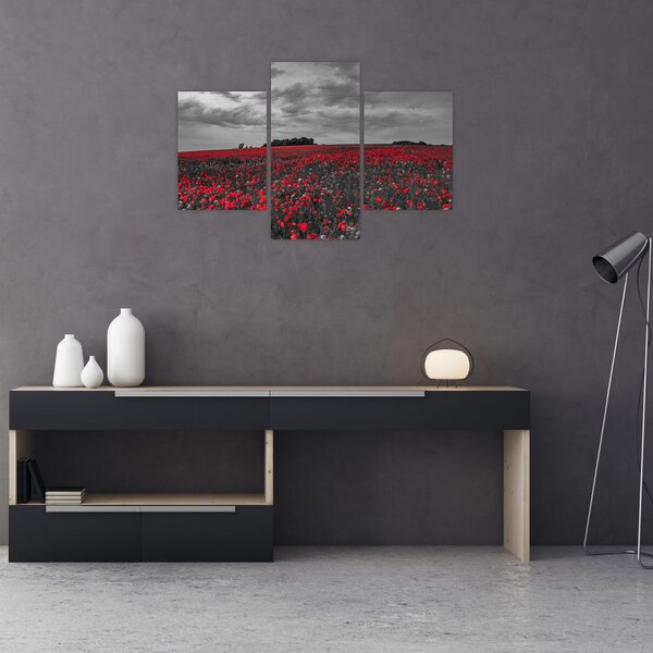 Tablou cu maci (90x60 cm)