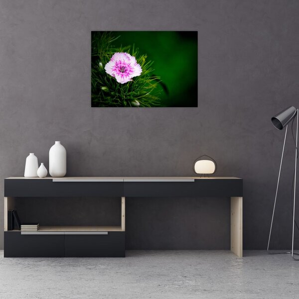 Tablou cu floare roz (70x50 cm)