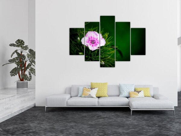Tablou cu floare roz (150x105 cm)
