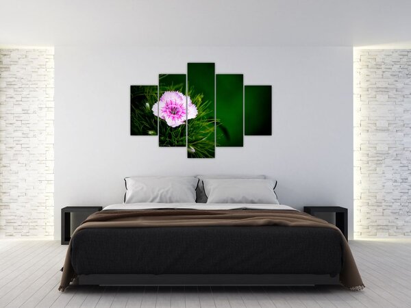 Tablou cu floare roz (150x105 cm)