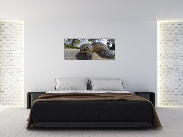 Tablou cu broască țestoasă (120x50 cm)