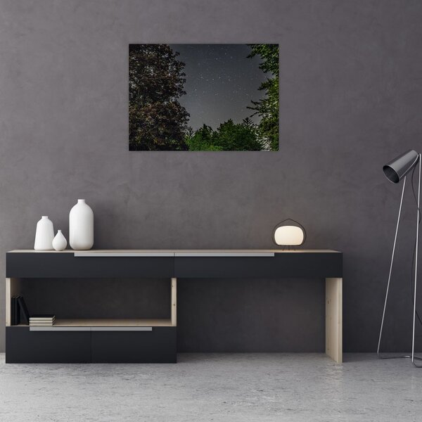 Tablou cu cerul nocturn (70x50 cm)