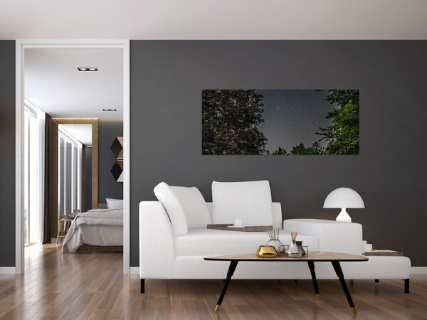 Tablou cu cerul nocturn (120x50 cm)