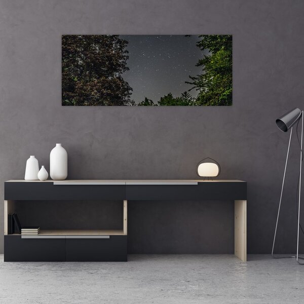 Tablou cu cerul nocturn (120x50 cm)