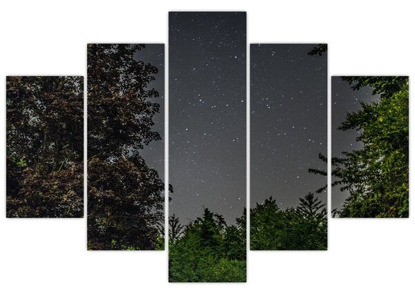 Tablou cu cerul nocturn (150x105 cm)