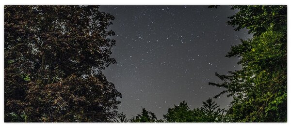 Tablou cu cerul nocturn (120x50 cm)
